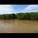 Während der Regenzeit befinden sich diese Büsche unter Wasser